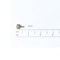 Key- (5253) for Lock (55/25)