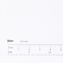 Screw- 6 x 1/2  SS PH Pan H