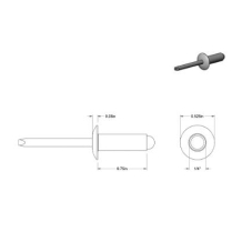 Rivet - 1/4" Alum Blind