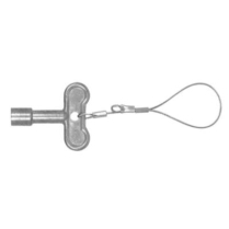 Key, D - Oval Key w/ Lanyard