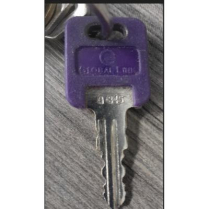 key,global,link,purple,G345