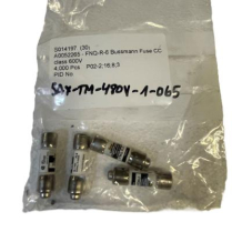 Sanitrax- 480V 2 Pole Sch i60N