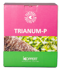 Trianum - P - 5 kg