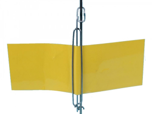 Sticky Trap holder 15 cm-500 pack