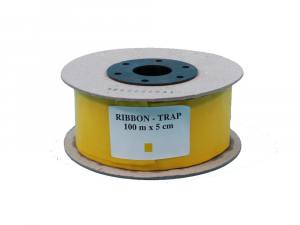 Yellow Glue Roll 5cm x 100m