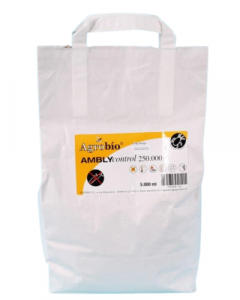 AMBLYcontrol 250,000 Bag 