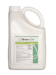 Bravo ZN 500FL - 10 L
