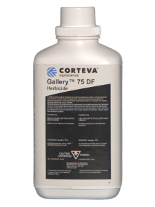 Gallery 75 DF - 454 g