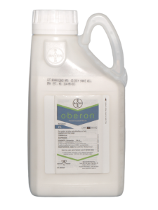 Oberon 240SC - 2 L