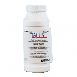 talus bottle