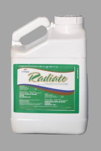 Radiate - 3.65 L