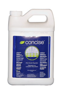 Concise - 2 L