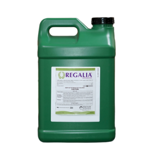 Regalia Maxx - 3.78 L