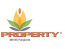 Property 300SC - 2 L