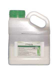 Posterity - 3.1 L
