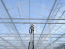 AquaJet cleaning the roof of the greenhouse