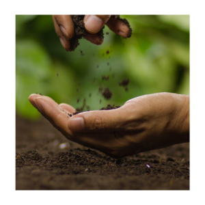 Lab Testing - Soil Analysis Package