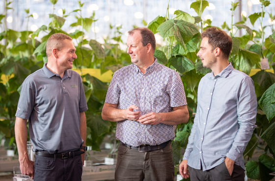 Hank Neufeld, Arie Alblas and Berry Blom