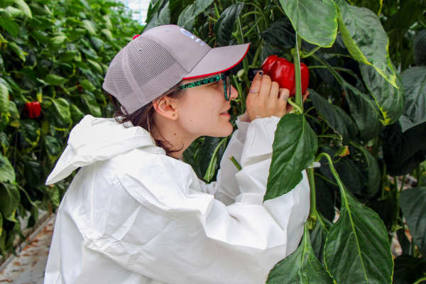 Integrated pest control canada