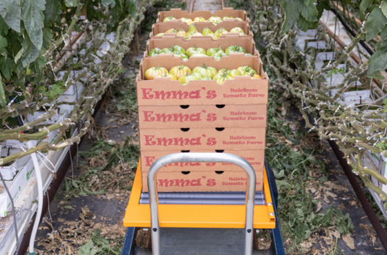 berg hortimotive transport trolley