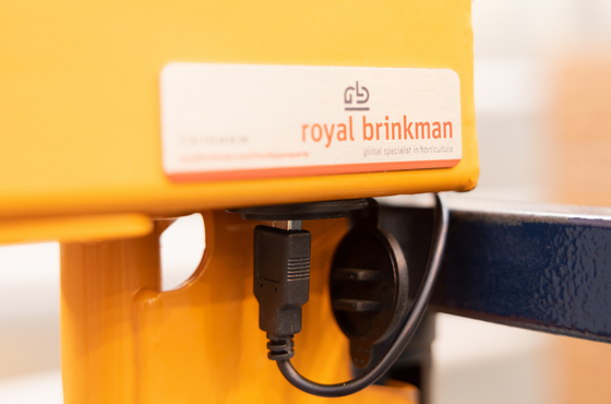 Heirloom tomato boxes