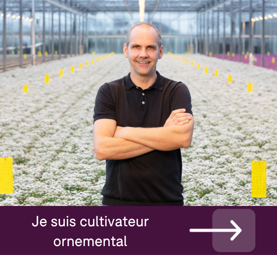 Ornamental grower hortihygienz