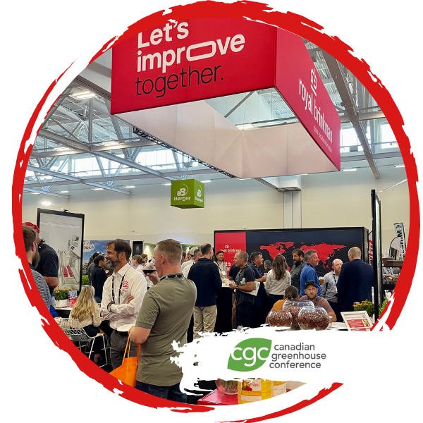 lets improve together 