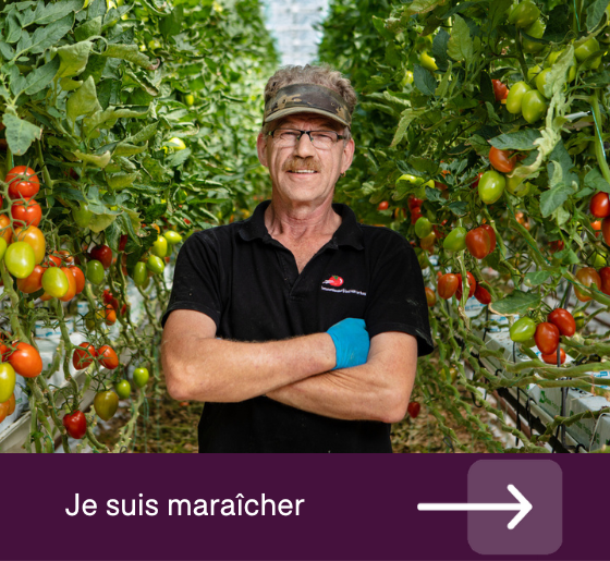 Vegetable grower hortihygienz