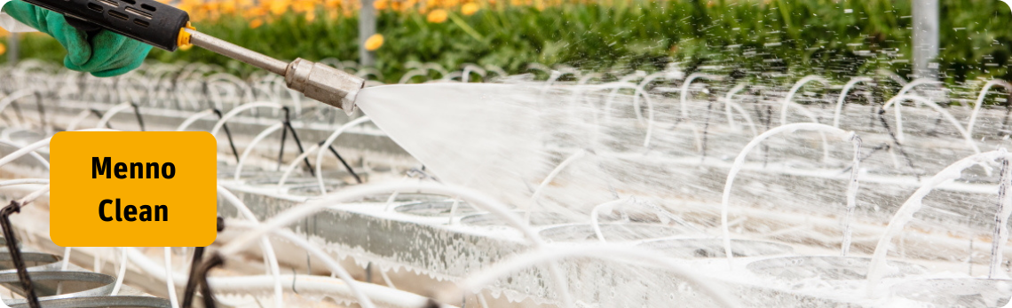 Menno clean Canada