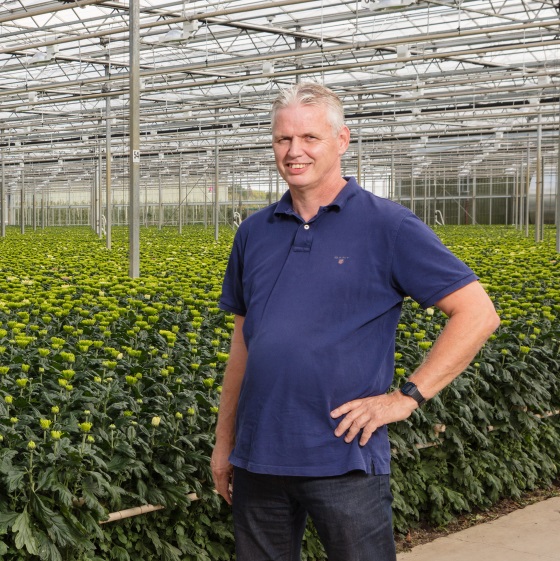 aalbert ekelmans, sensation