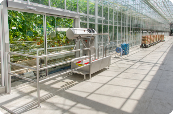 Hygiene royal brinkman canada