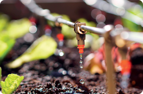 Huwa-San cleaner Canada