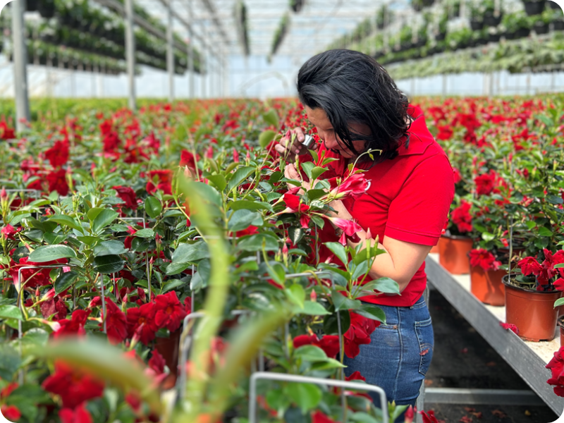 Integrated pest control canada