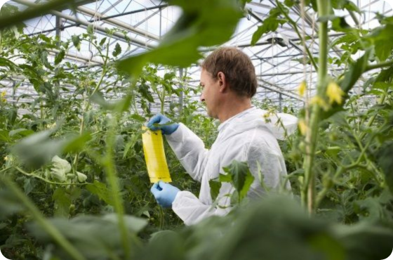 crop protection canada