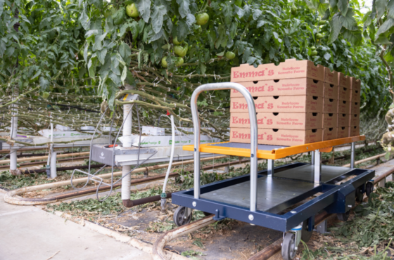 Lakeshore customer story benomic berg hortimotive