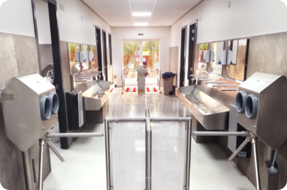 Optimizing Hygiene Standards for Greenhouse Operations