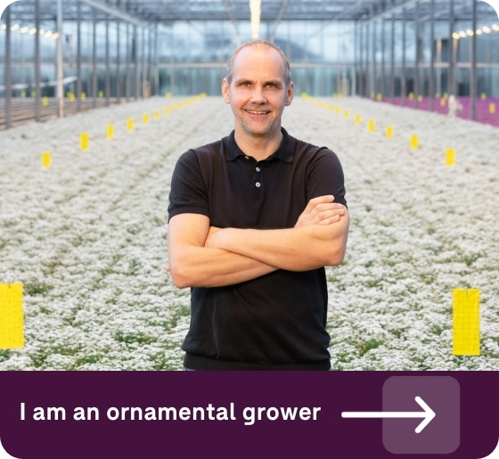 Ornamental grower hortihygienz