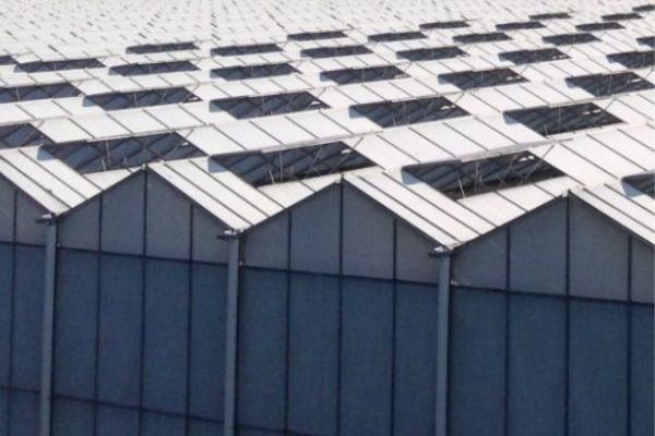 greenhouse roof painted white