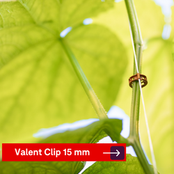 Valent Clip 15 mm