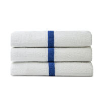 Premium Terry Blue Stripe Gym and Pool Towels