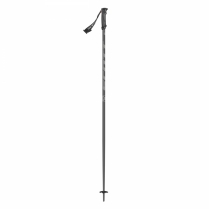METRIC POLE