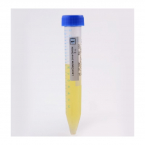 Rapid Response&trade; Liquid Diptube Urine Controls