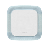 Biatain&reg; Silicone Ag Standard, 10cm x 10cm