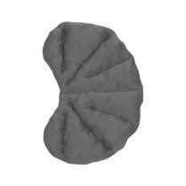 L&R SwellSpots&reg; Kidney Pad