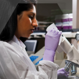 Kimtech&trade; Science Kimwipes Delicate Task Wipers, White, 2-Ply, 11.22" x 12.3"