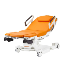 Linet AVE 2 Birthing Bed