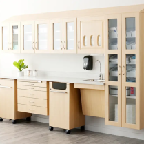 View the Midmark&reg; Synthesis&reg; Cabinetry Brochure