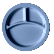 93CW Divided plate slate blue