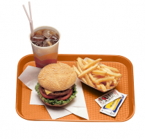 1014FF166 Tray 10x14" orange
