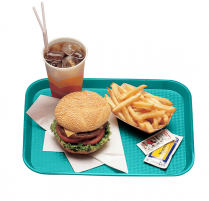1014FF414 Tray 10x14" teal